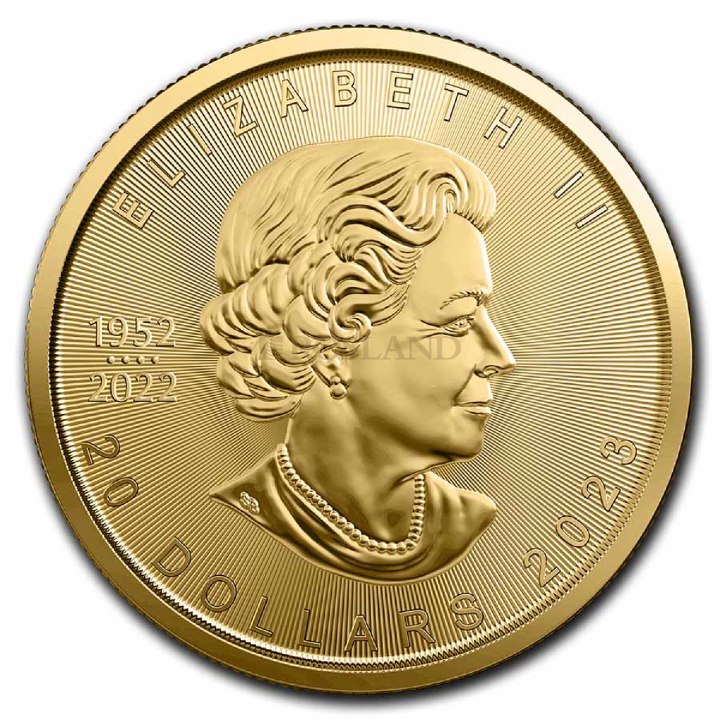 1 2 Unze Goldmünze Kanada Maple Leaf 2023